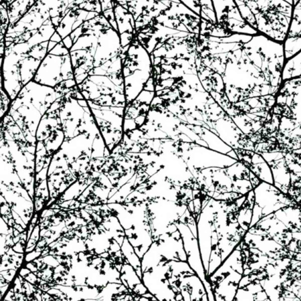 Tapeta na flizelinie 13264-70 P+S International